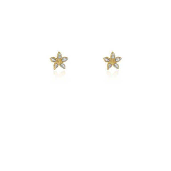 pendientes jazmin joya unica mujer